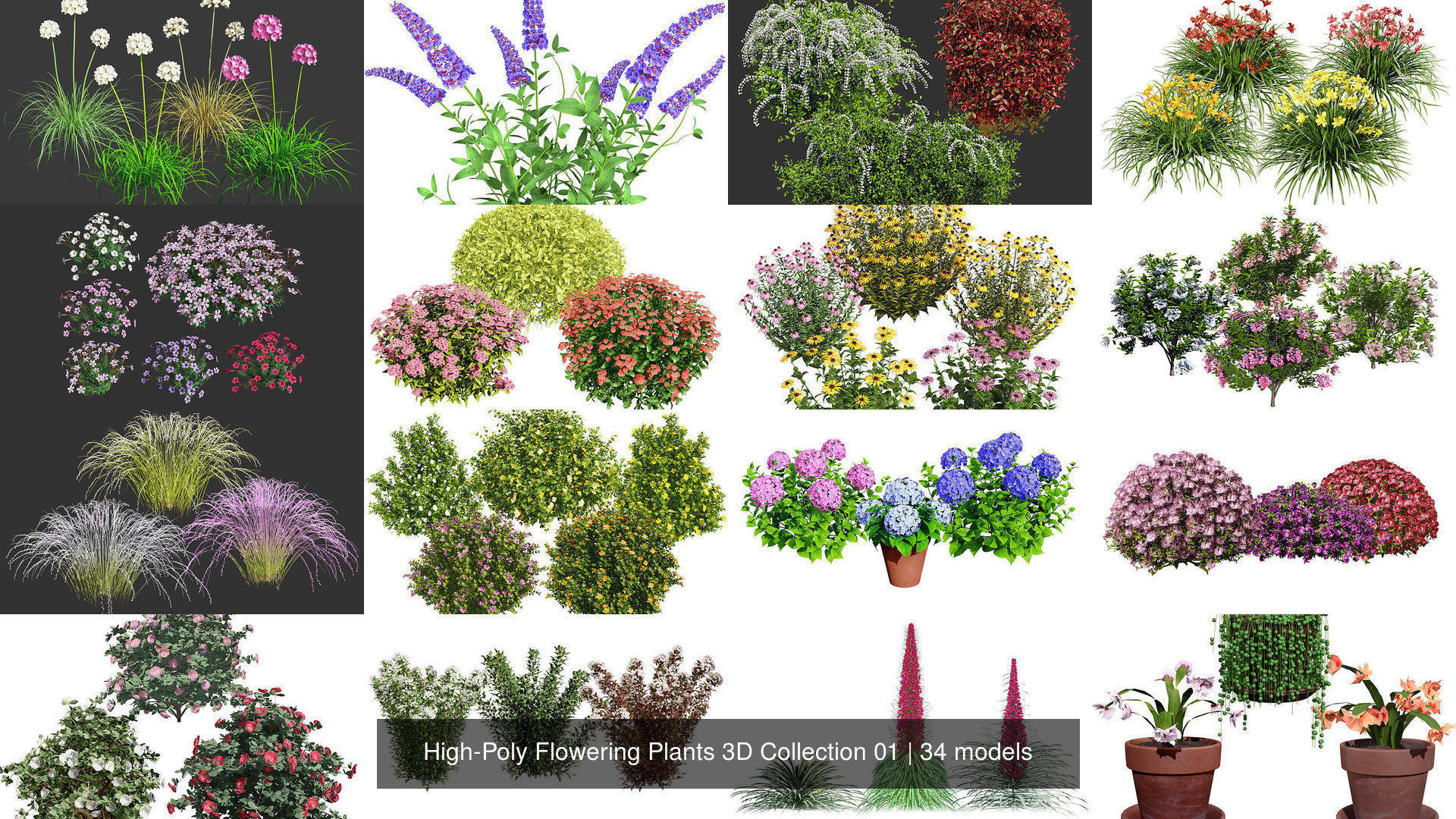High-Poly Flowering Plants 3D Collection 01 _32
