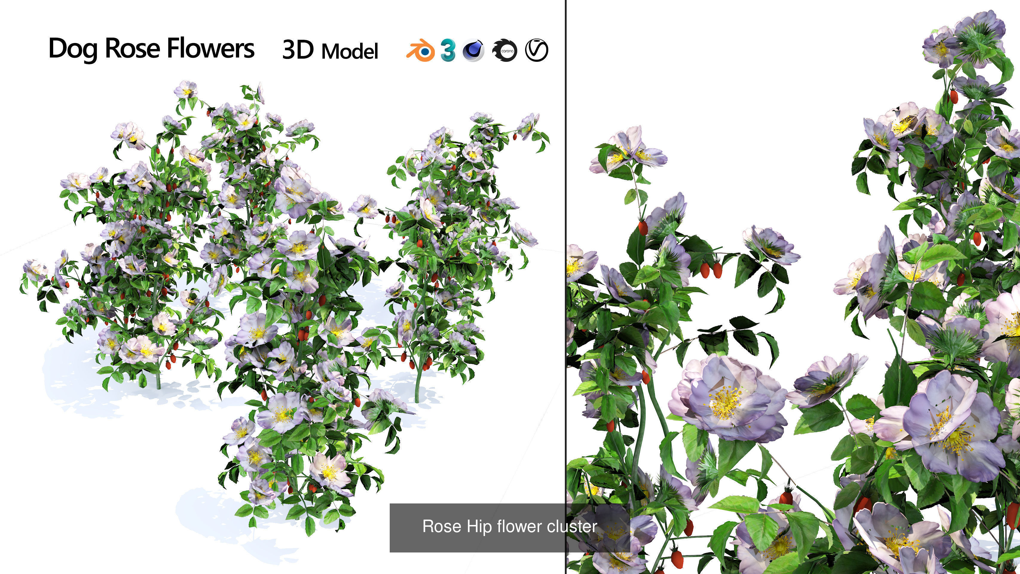 High-Poly Flowering Plants 3D Collection 01 _42