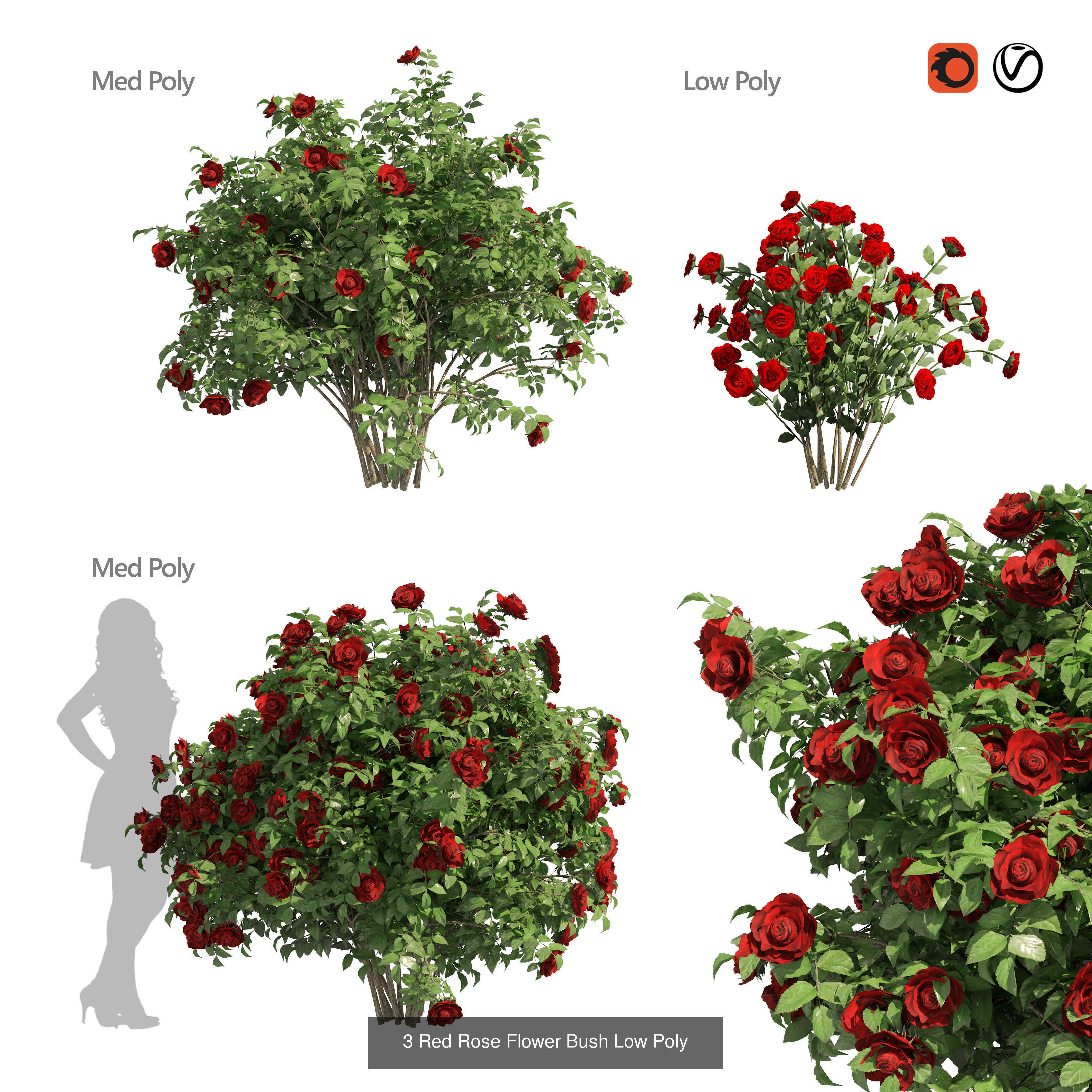 High-Poly Flowering Plants 3D Collection 01 _37