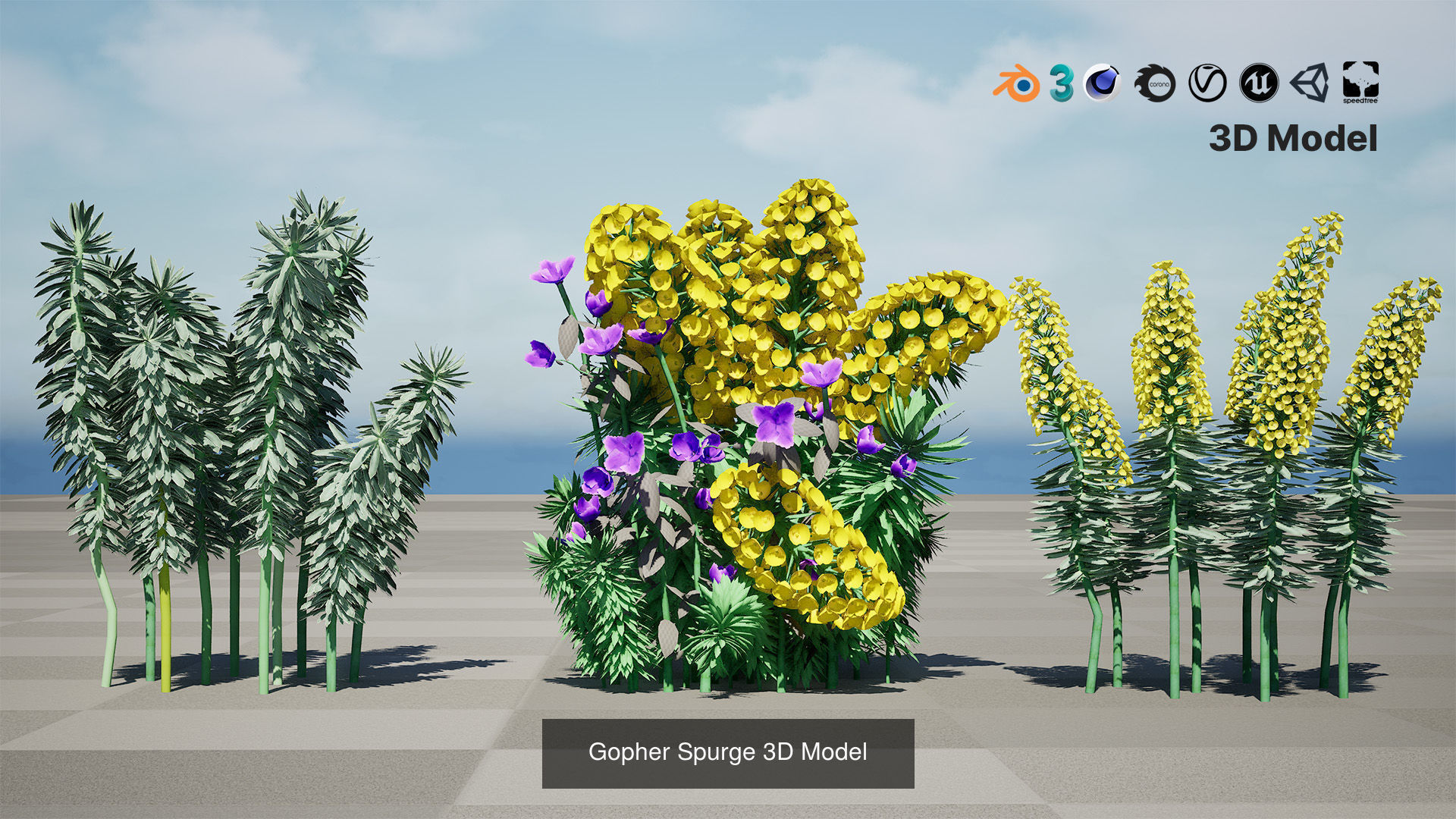 High-Poly Flowering Plants 3D Collection 01 _70