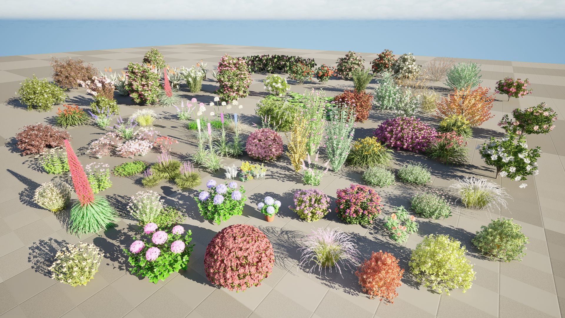 High-Poly Flowering Plants 3D Collection 01 _35