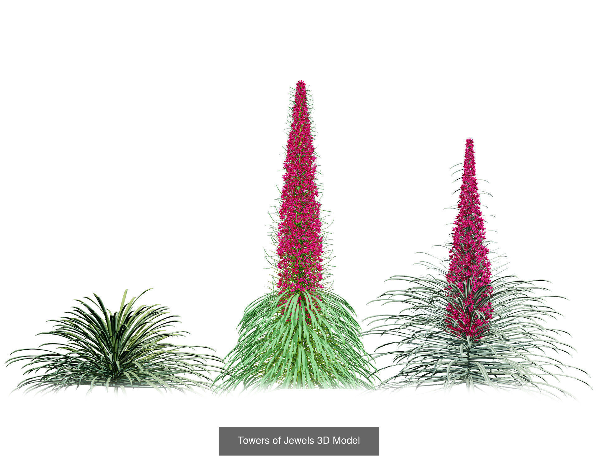 High-Poly Flowering Plants 3D Collection 01 _67