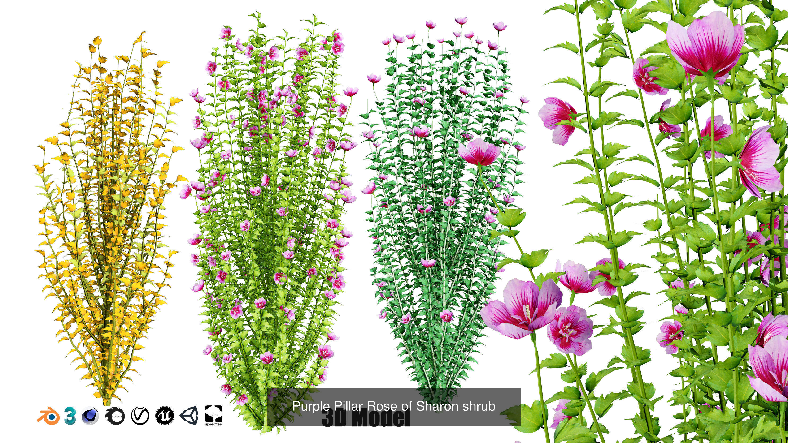 High-Poly Flowering Plants 3D Collection 01 _50