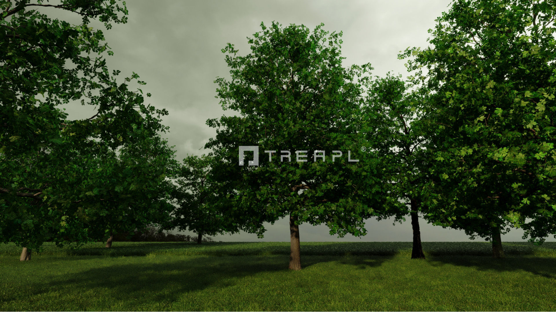 10X Chestnut Tree - Horse Chestnut - Mature Style 3D model_1