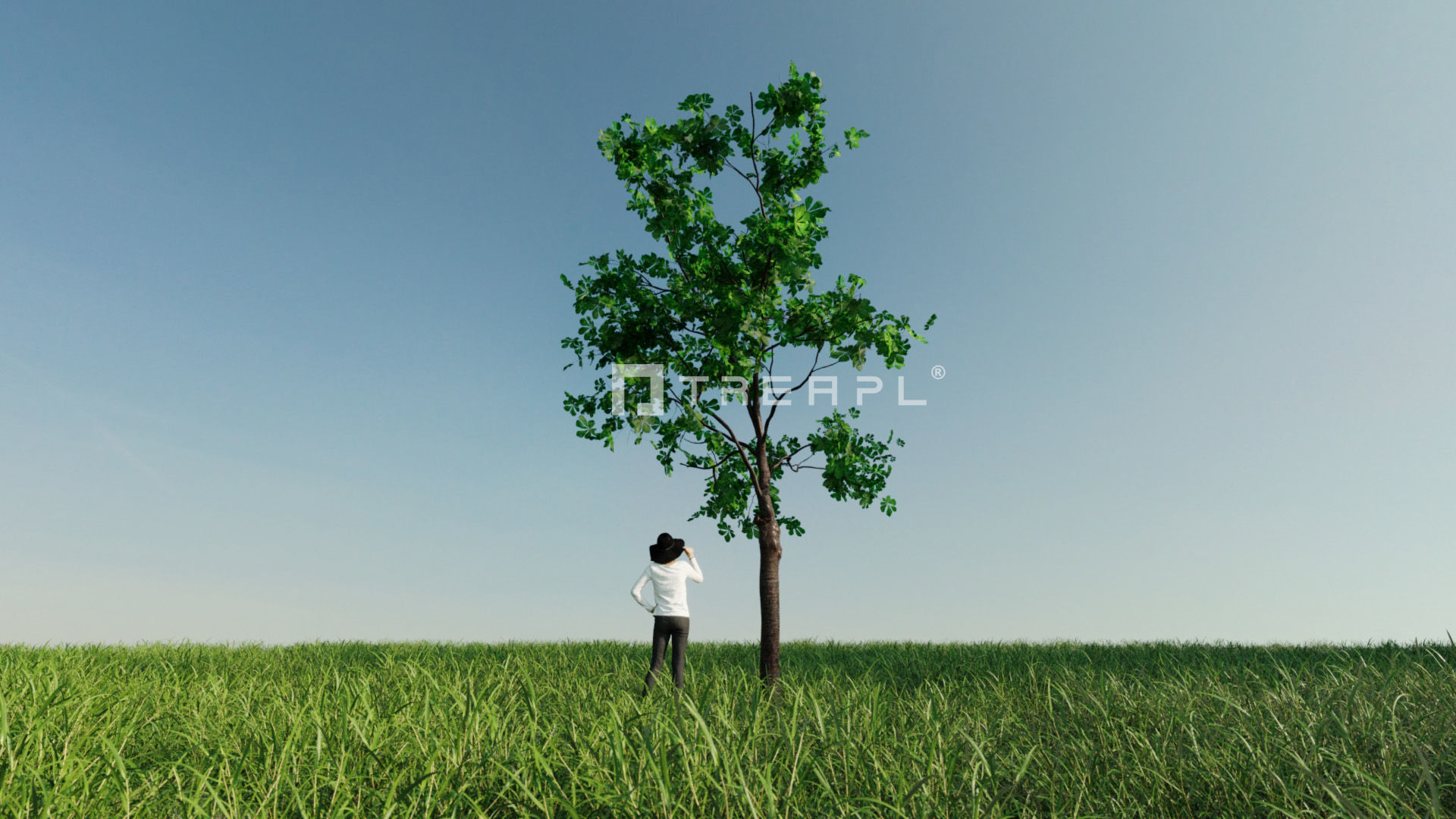 10X Chestnut Tree - Horse Chestnut - Mature Style 3D model_3