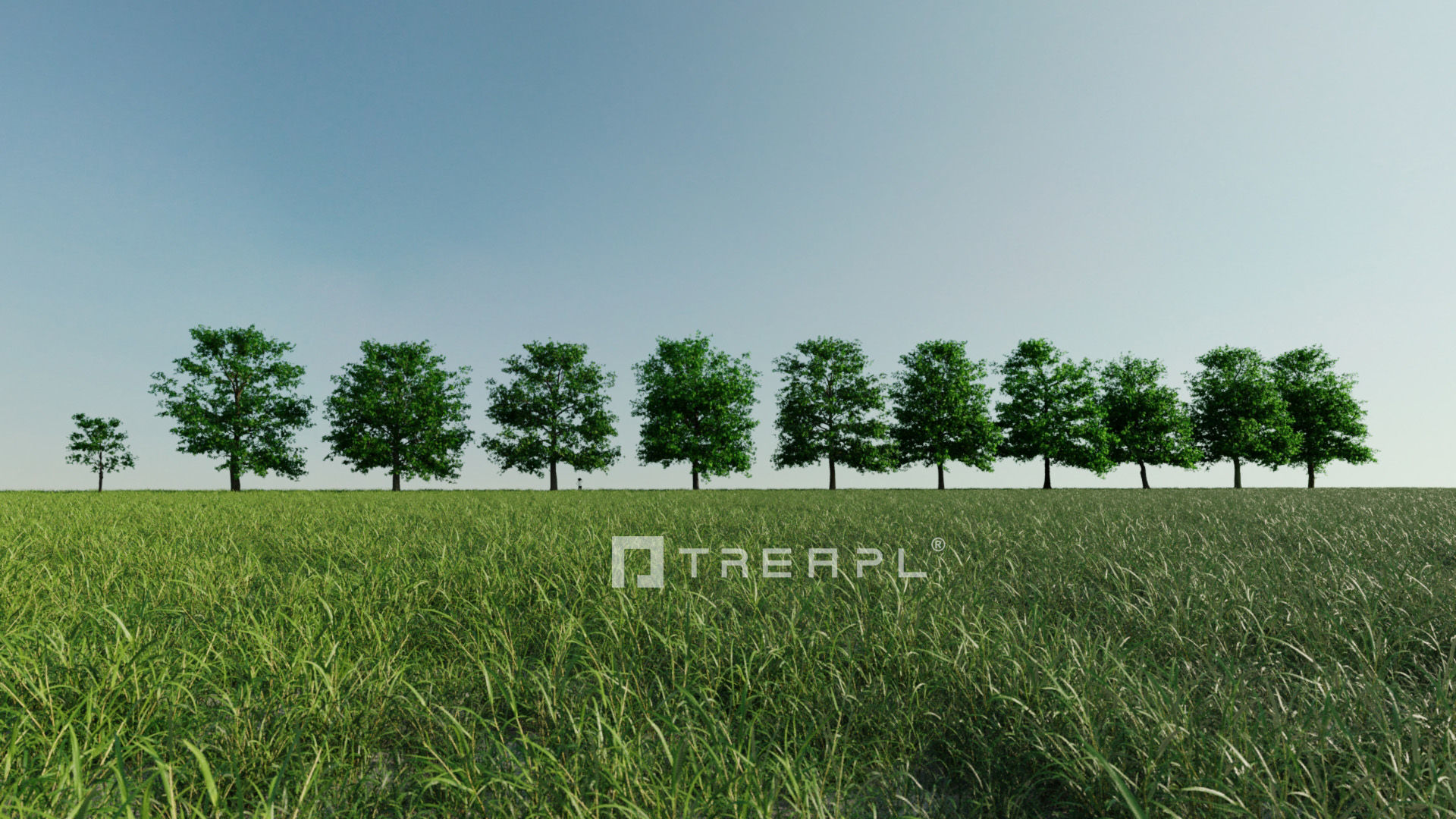 10X Chestnut Tree - Horse Chestnut - Mature Style 3D model_2