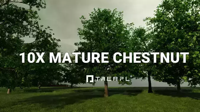 10X Chestnut Tree - Horse Chestnut - Mature Style 3D model