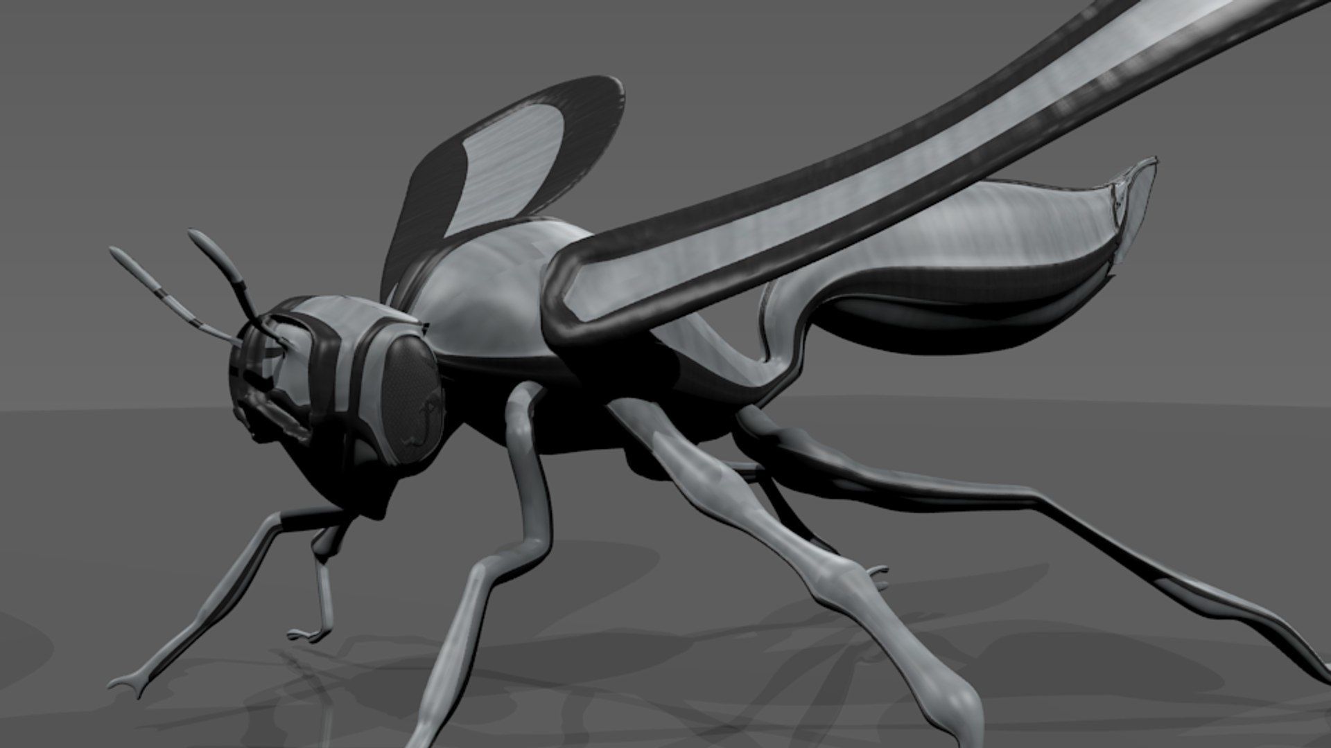 Waspbot 3D model_1