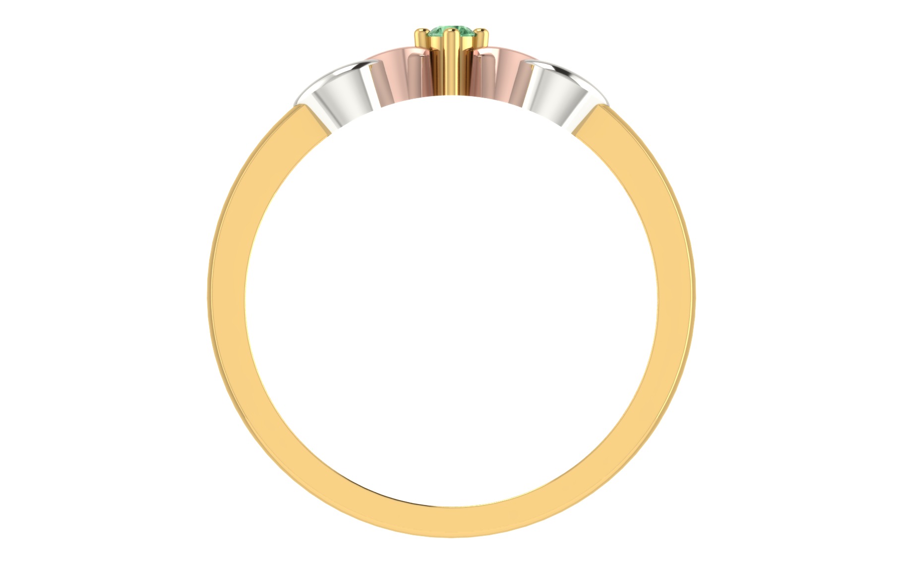 Women Ring Render 3dm STL OBJ FBX Details 3D print model_4