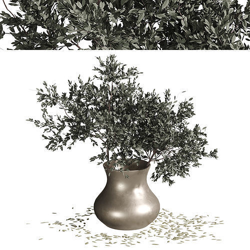 Plant Bouquet Vase 3D model