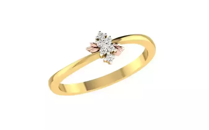 Women Ring  Render 3dm STL OBJ FBX Details