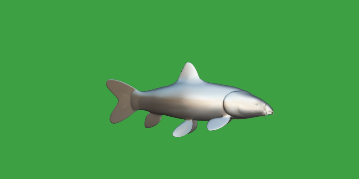 Clown Loach Fish Low-poly 3D model_14