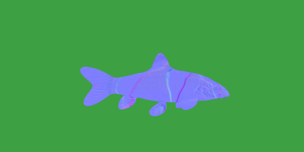 Clown Loach Fish Low-poly 3D model_10
