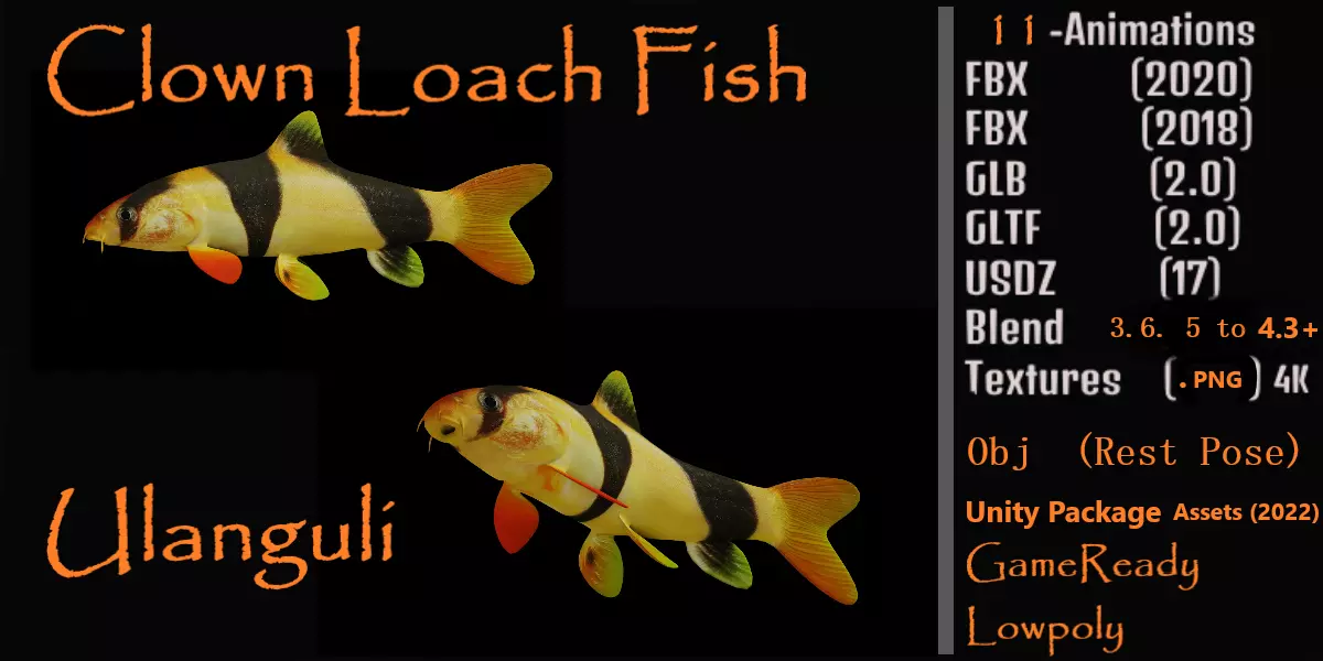 Clown Loach Fish Low-poly 3D model_0