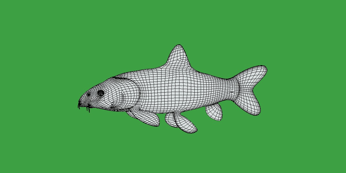 Clown Loach Fish Low-poly 3D model_17