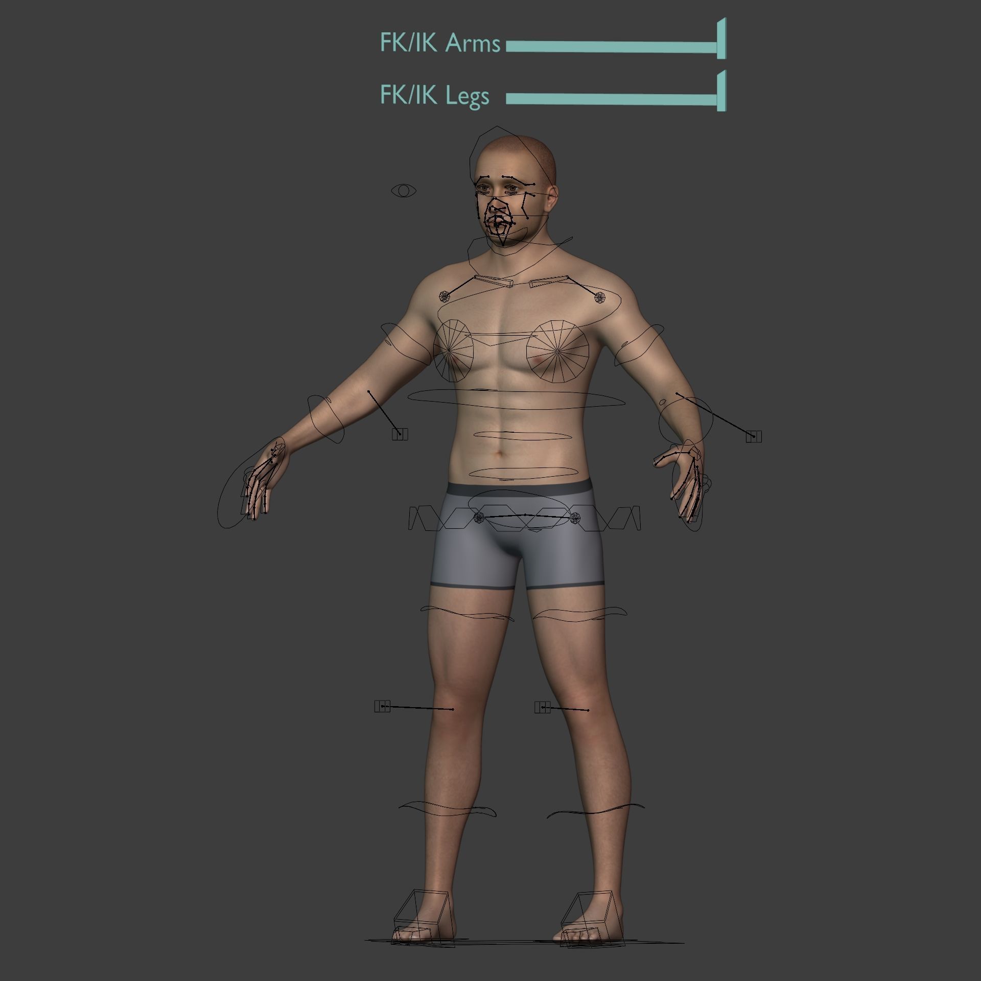 Man - 3 Skin Textures - European African Arab Indian - IK-FK Rig Low-poly 3D model_2