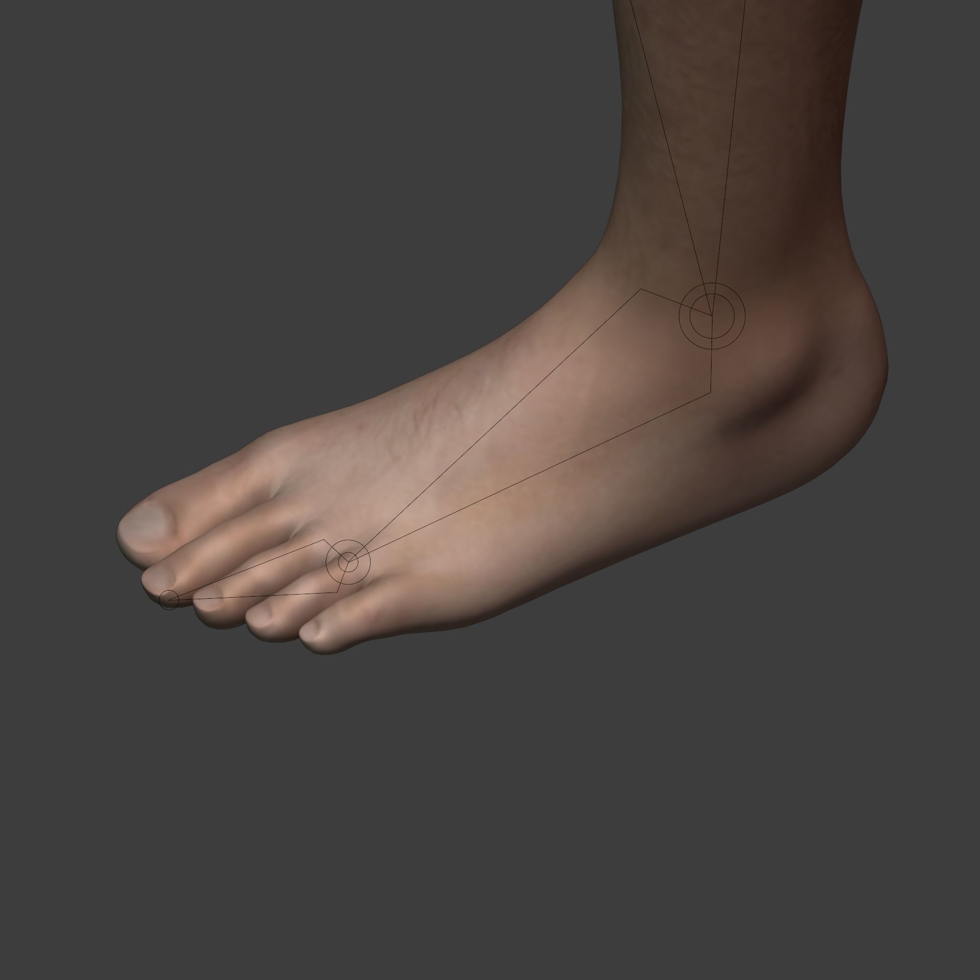 Man - 3 Skin Textures - European African Arab Indian - IK-FK Rig Low-poly 3D model_26