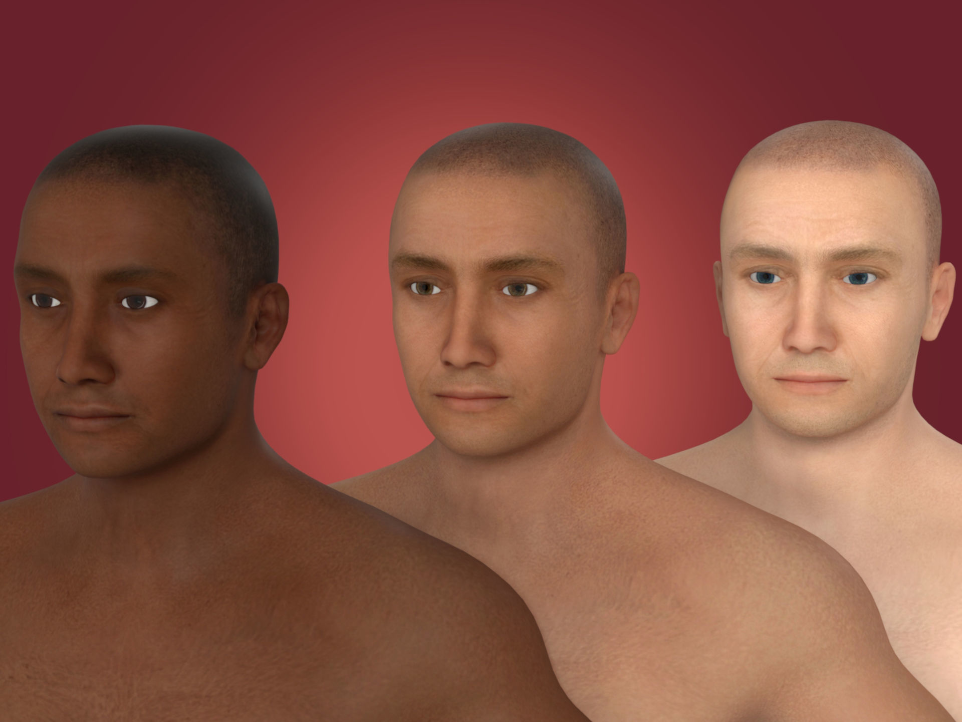 Man - 3 Skin Textures - European African Arab Indian - IK-FK Rig Low-poly 3D model_1