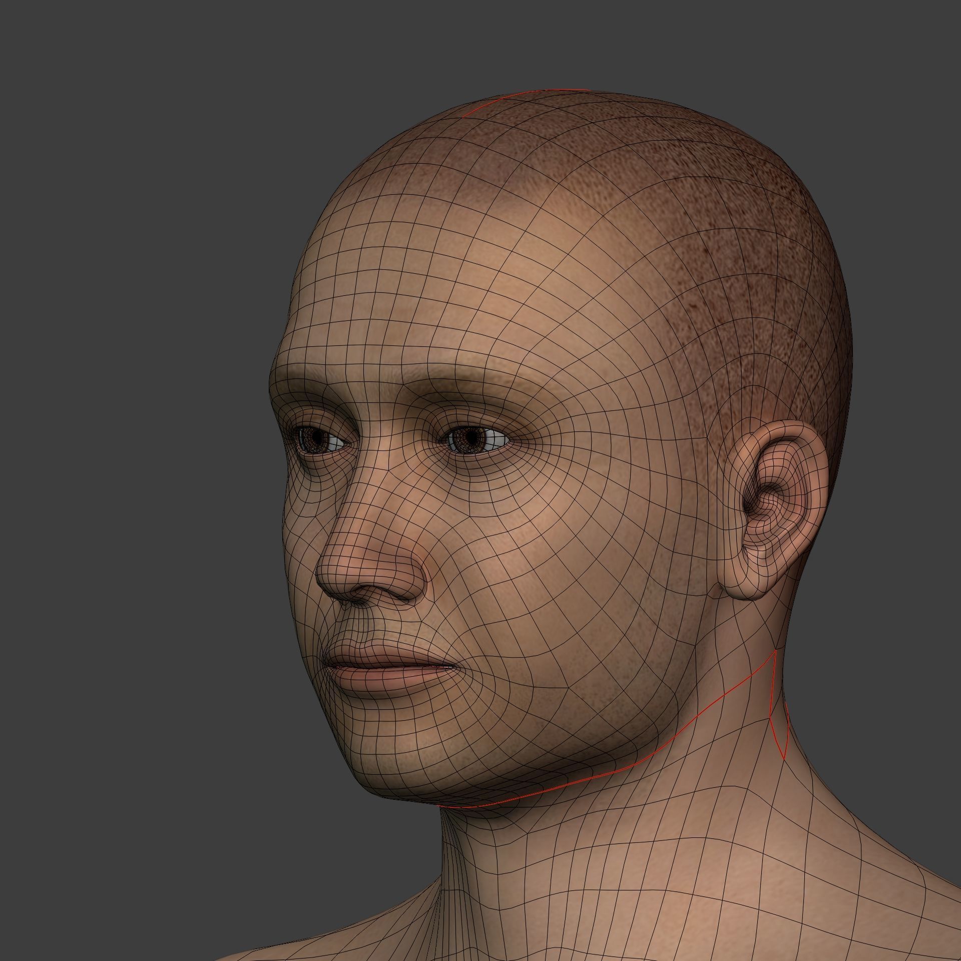 Man - 3 Skin Textures - European African Arab Indian - IK-FK Rig Low-poly 3D model_15