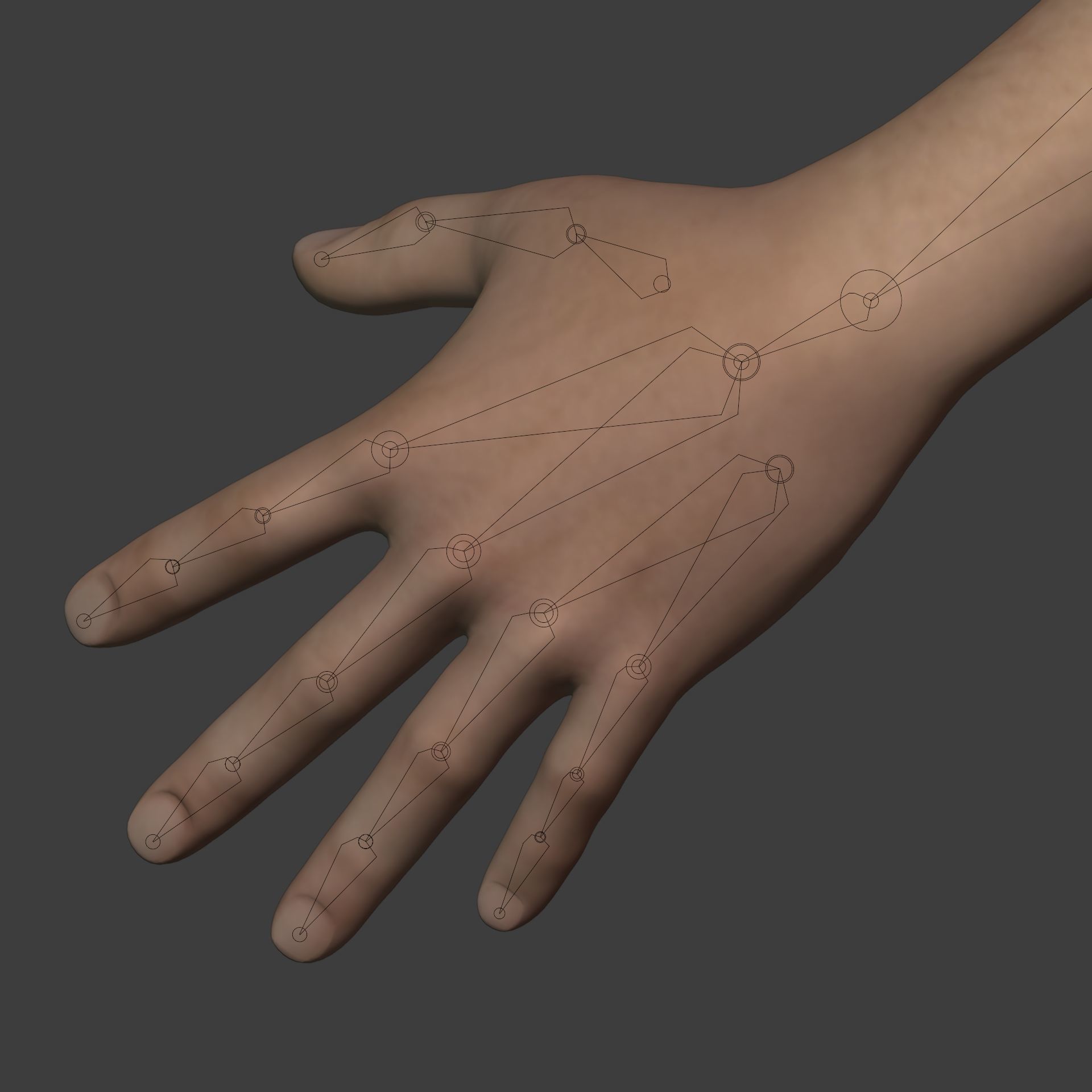 Man - 3 Skin Textures - European African Arab Indian - IK-FK Rig Low-poly 3D model_24