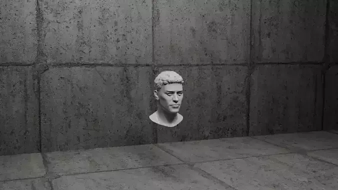 Realistic Male Head-1