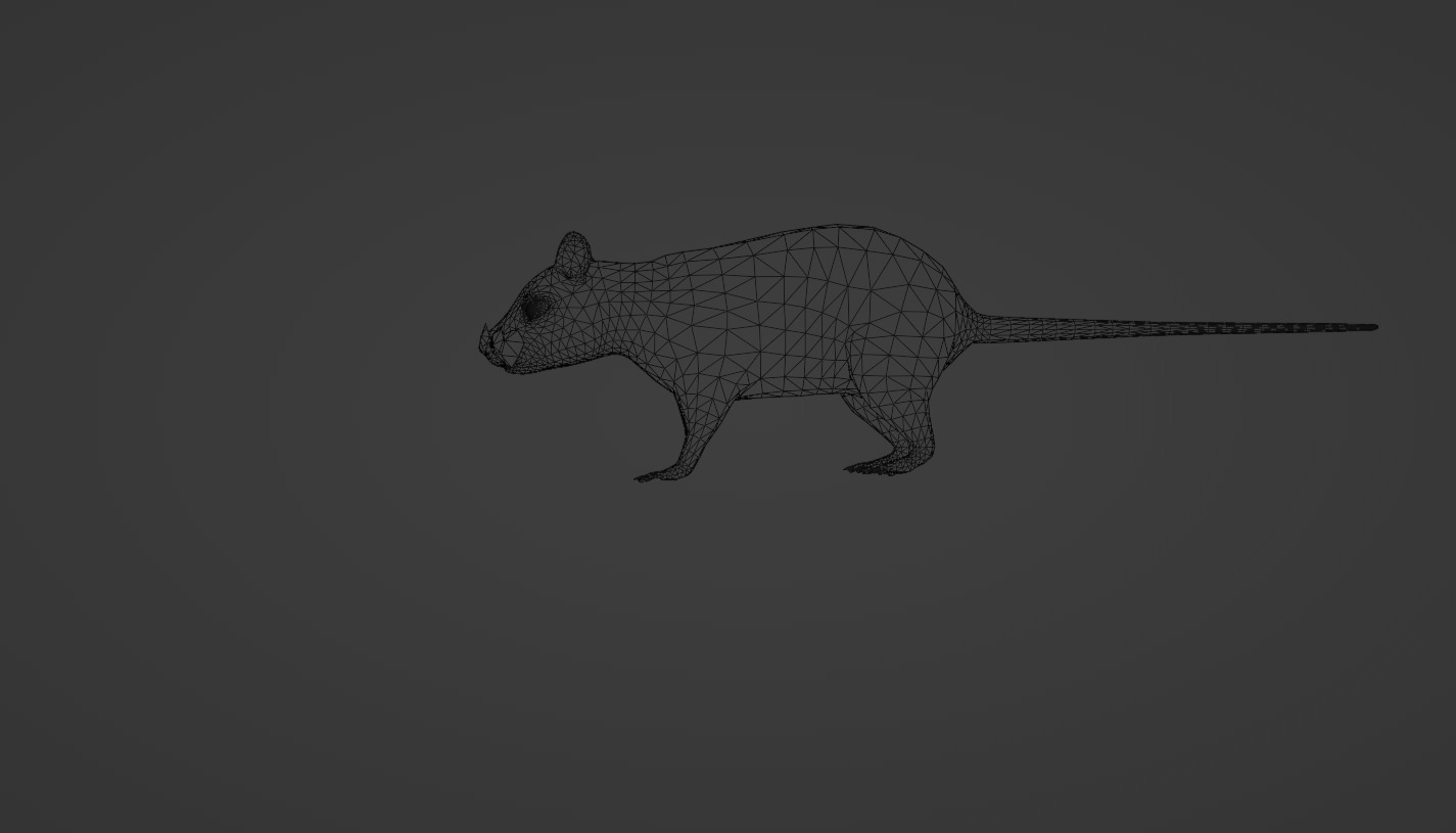 Mouse rat rigged  Animations Low-poly 3D model_6
