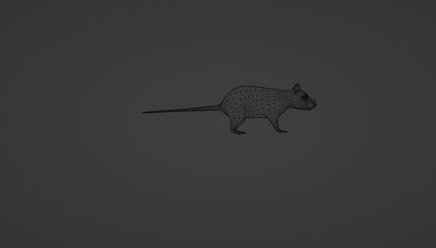 Mouse rat rigged  Animations Low-poly 3D model_5