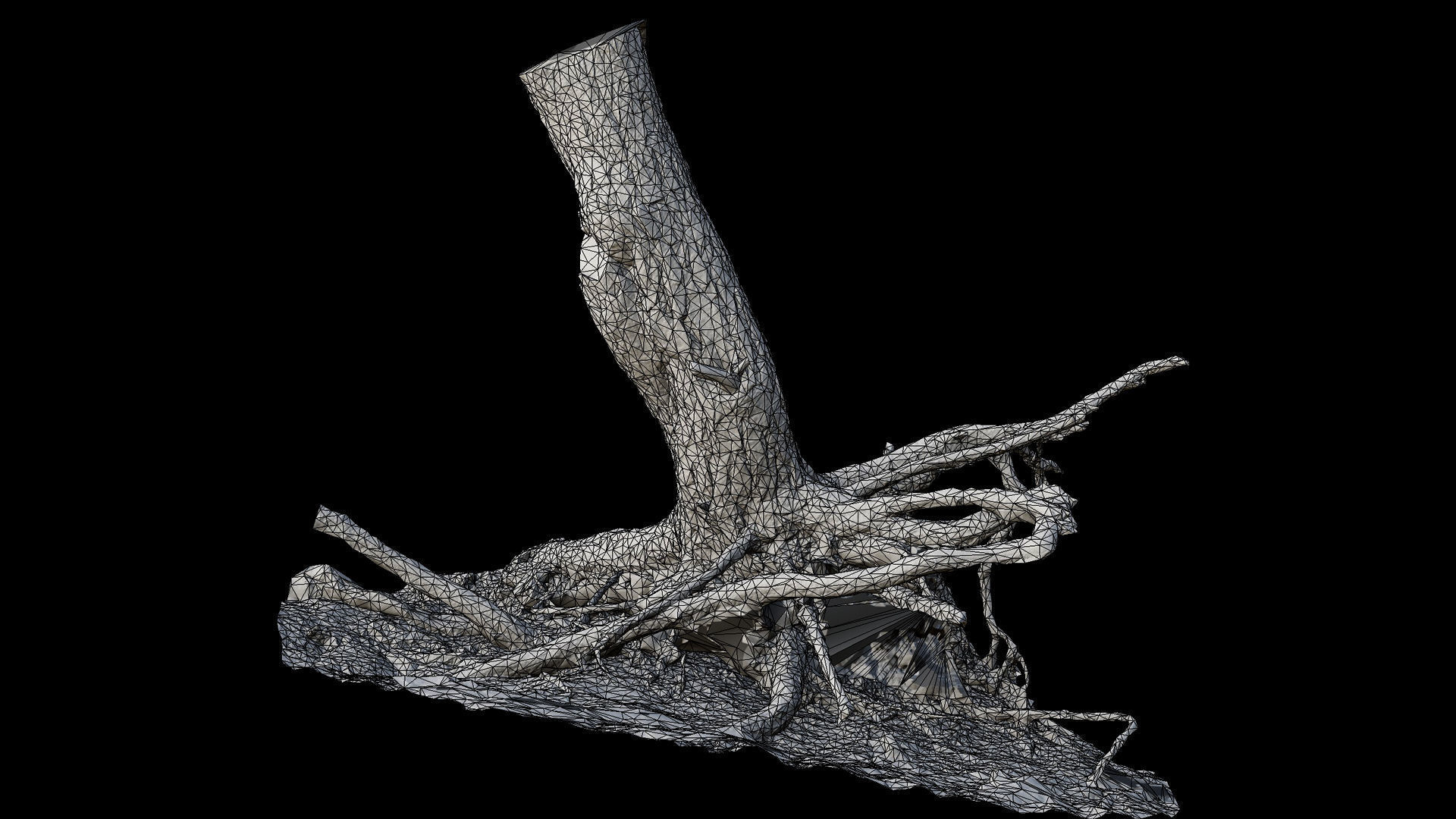 tree trunk pine roots ground photogrammetry Low-poly 3D model_8