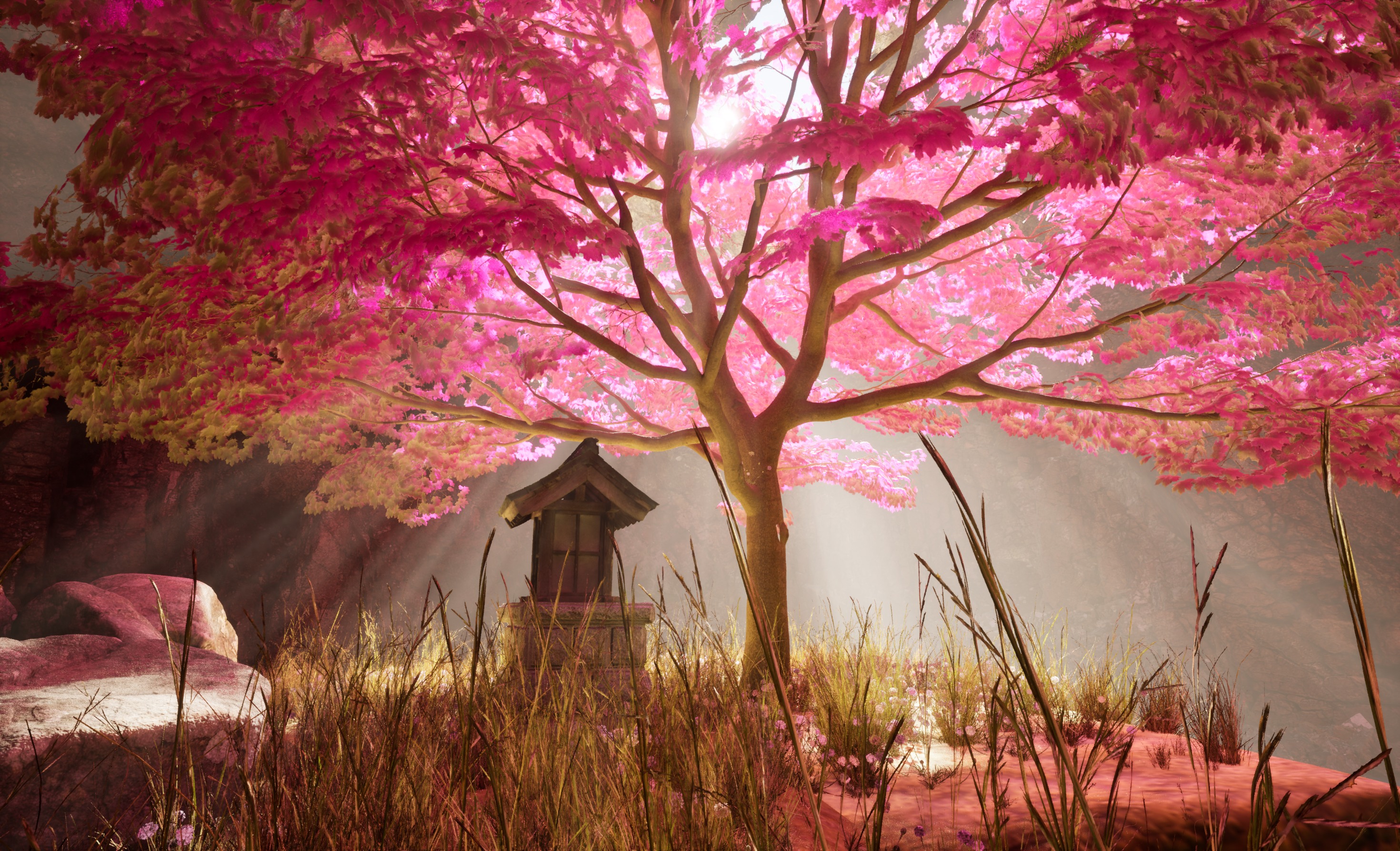 Serene Sakura Shrine 3D model_2