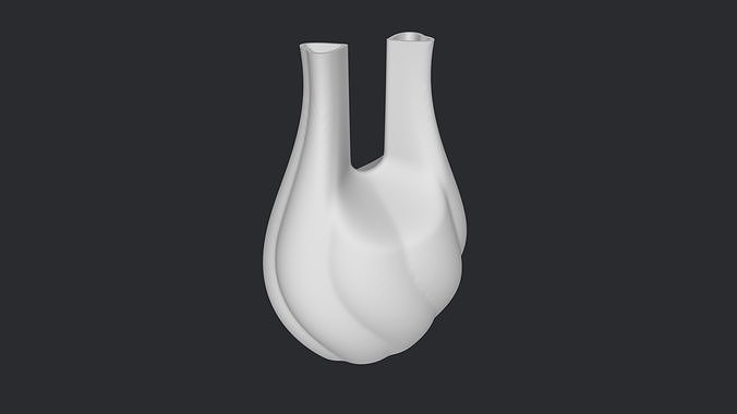 Two-Hearted Vase 3D print model