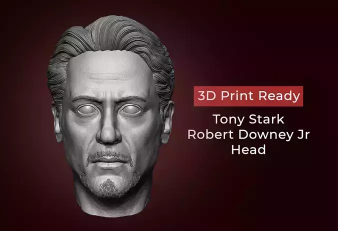 Tony Stark - Robert Downey JR Head