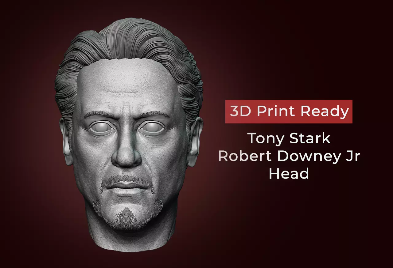 Tony Stark - Robert Downey JR Head 3D print model_0