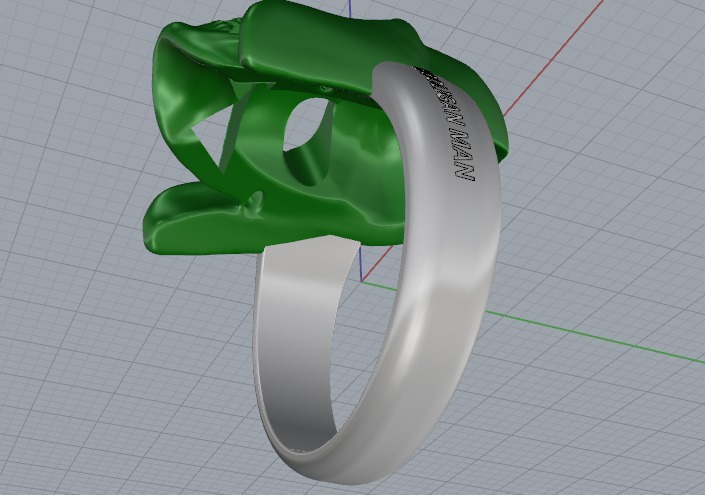 Ring skull N011176 3D print model_5