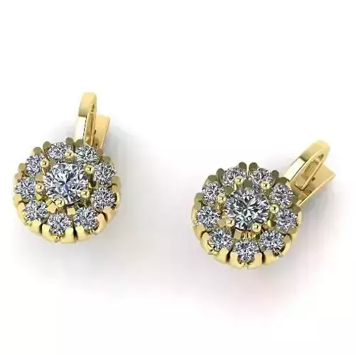 Earrings N011158