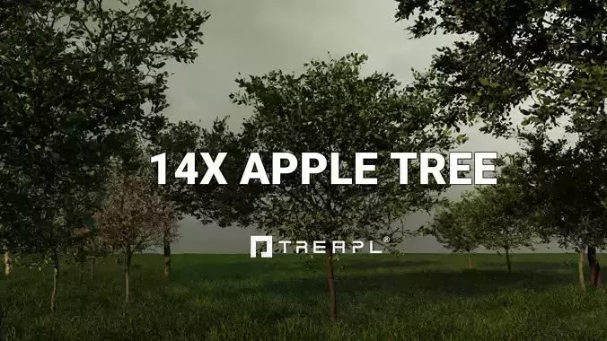 14X Apple tree - Including spring blossom