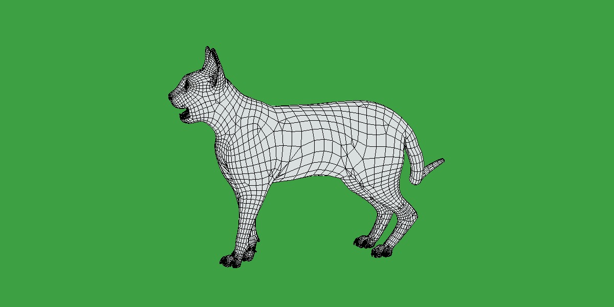 Devon Rex Cat Low-poly 3D model_1