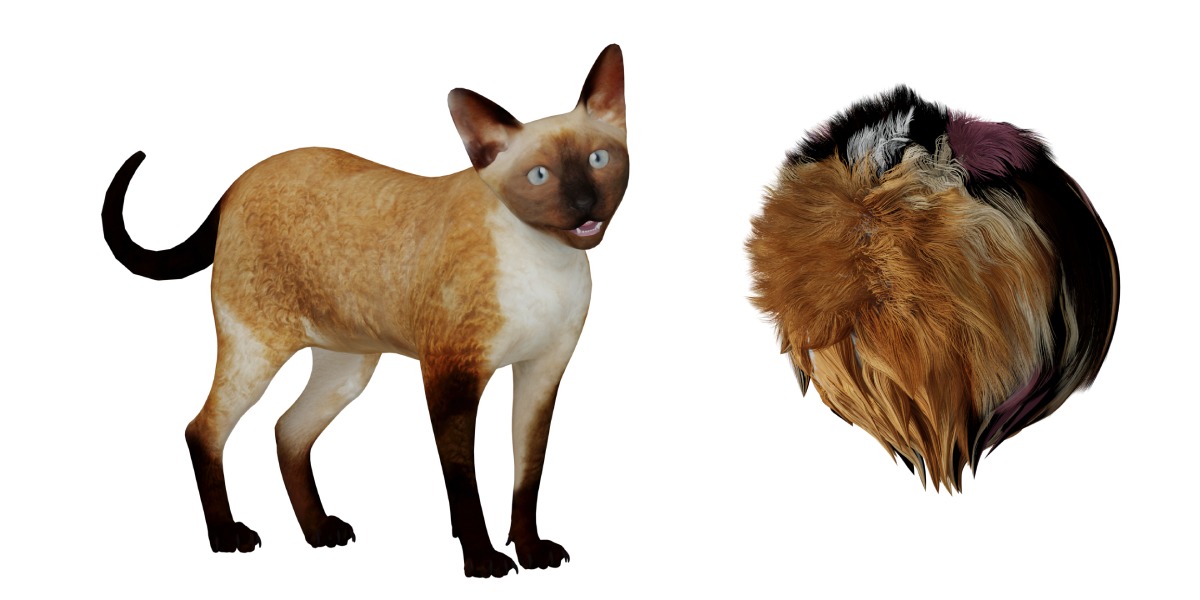 Devon Rex Cat Low-poly 3D model_34