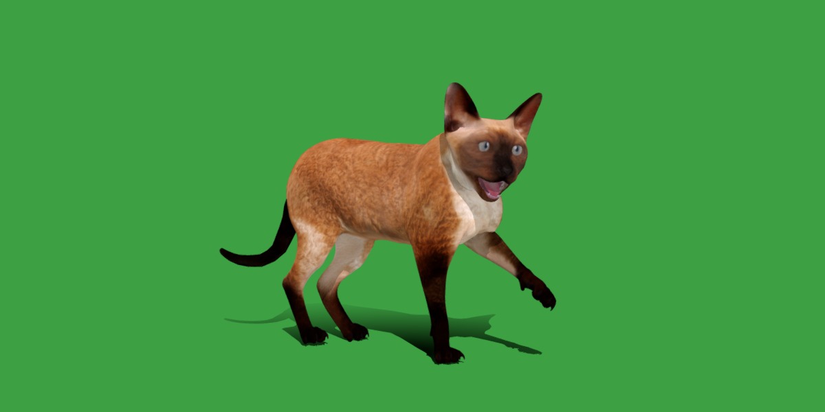 Devon Rex Cat Low-poly 3D model_12