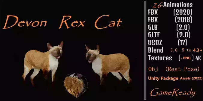 Devon Rex Cat
