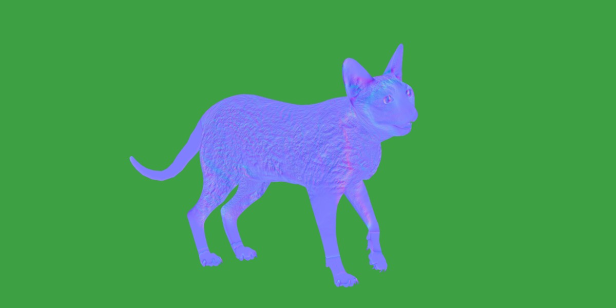 Devon Rex Cat Low-poly 3D model_14