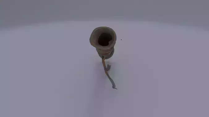 Decorative War Horn 3D model
