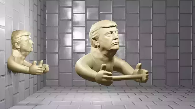 Donald Trump Toilet Paper Holder 3D print model