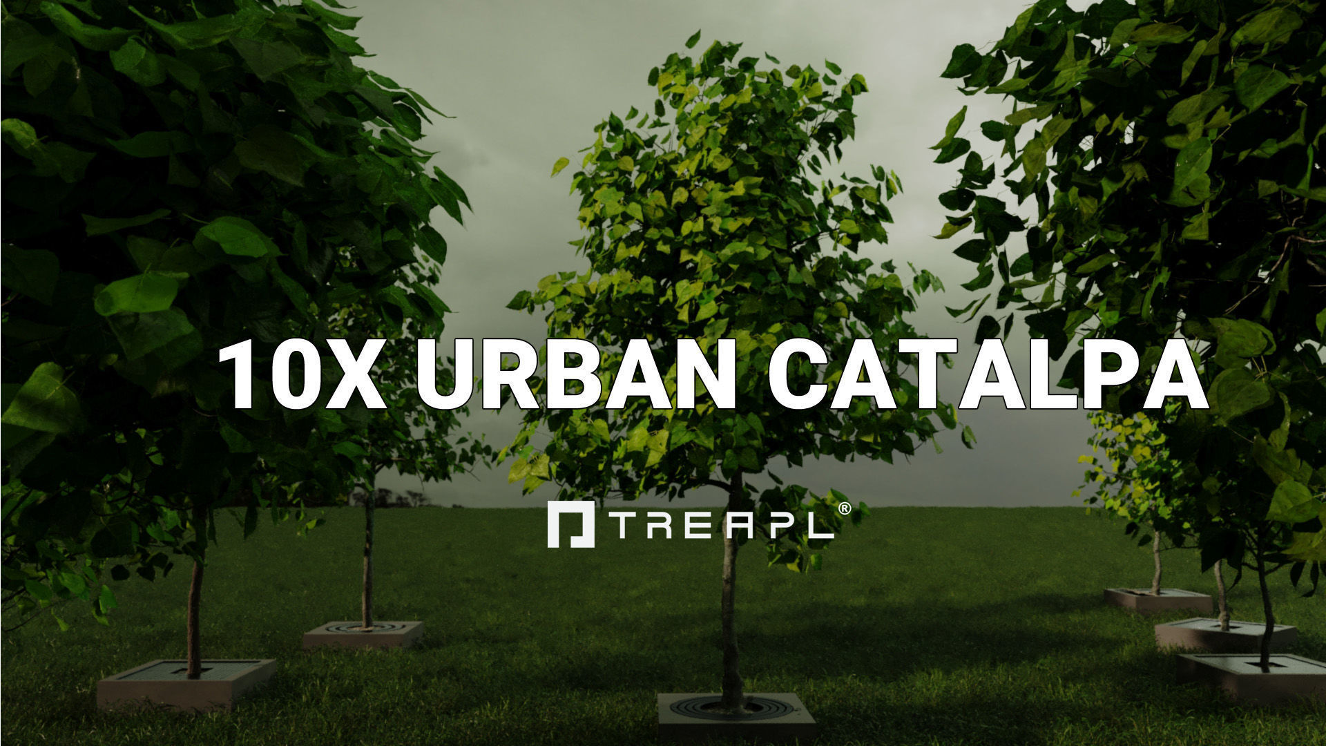 110X Hyper Trees by Treapl 3D model_6