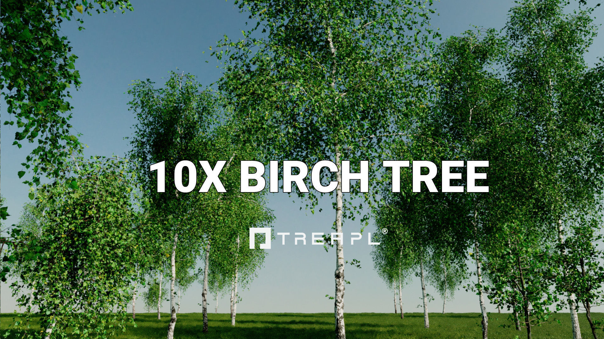 110X Hyper Trees by Treapl 3D model_3