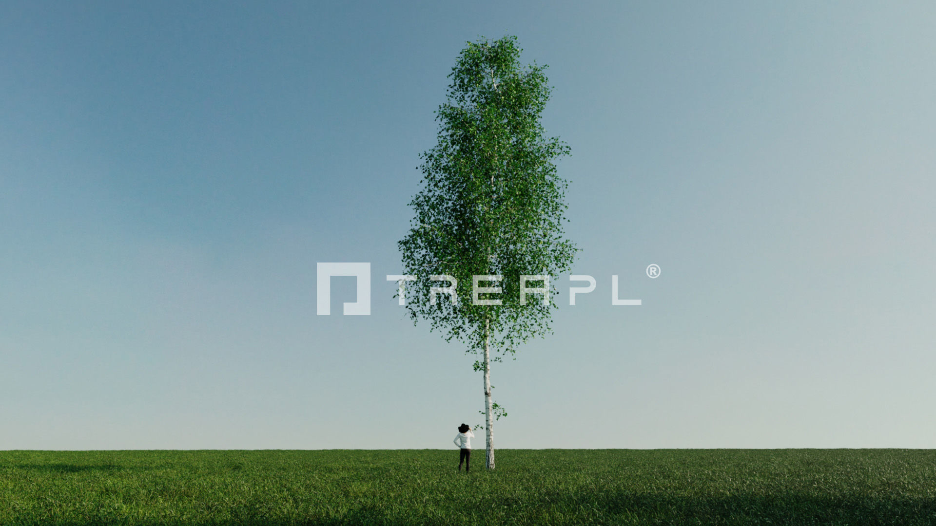 110X Hyper Trees by Treapl 3D model_53