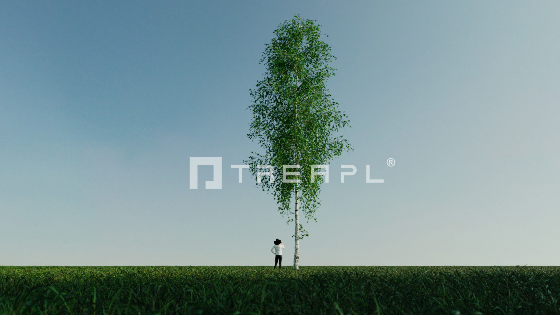 110X Hyper Trees by Treapl 3D model_52