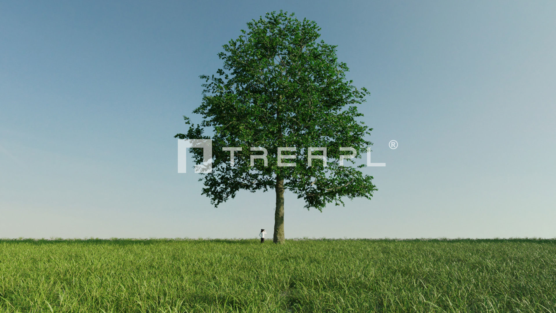 110X Hyper Trees by Treapl 3D model_112
