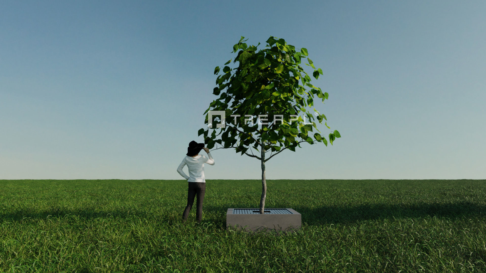 110X Hyper Trees by Treapl 3D model_60