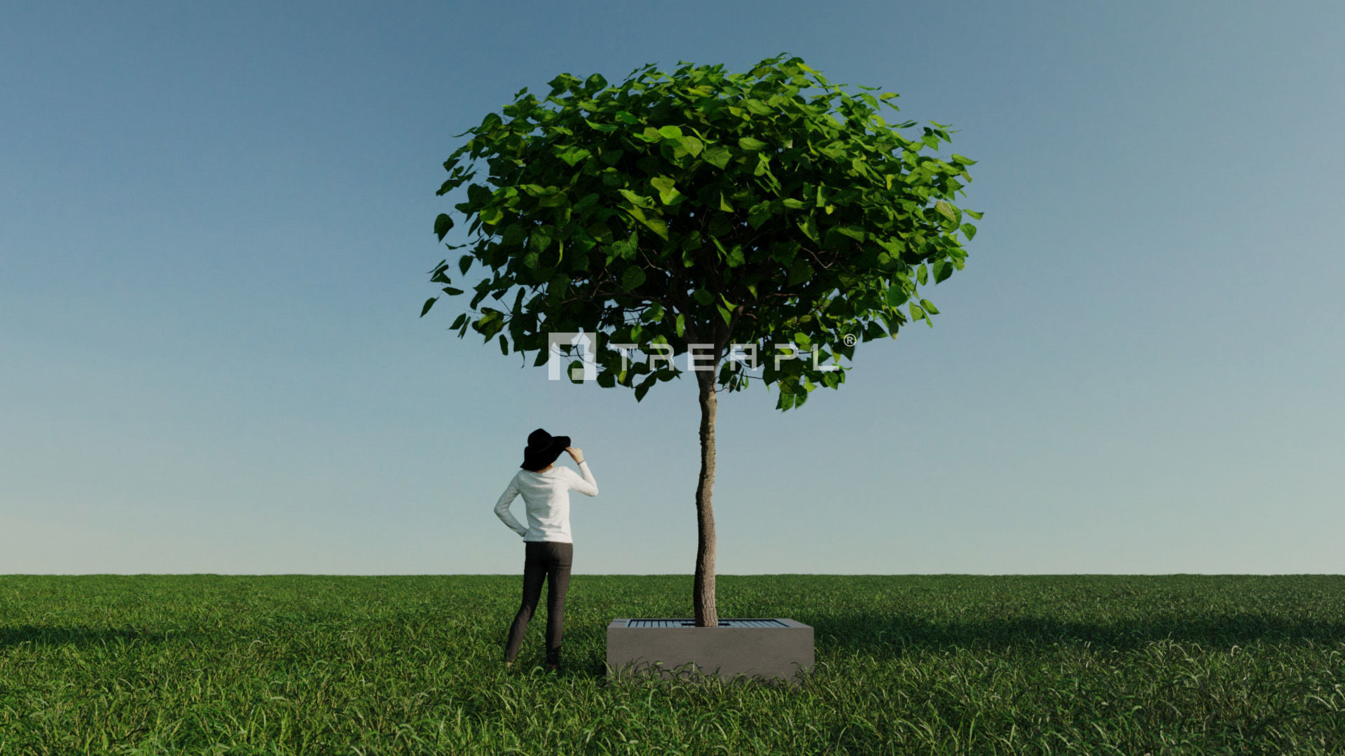 110X Hyper Trees by Treapl 3D model_62