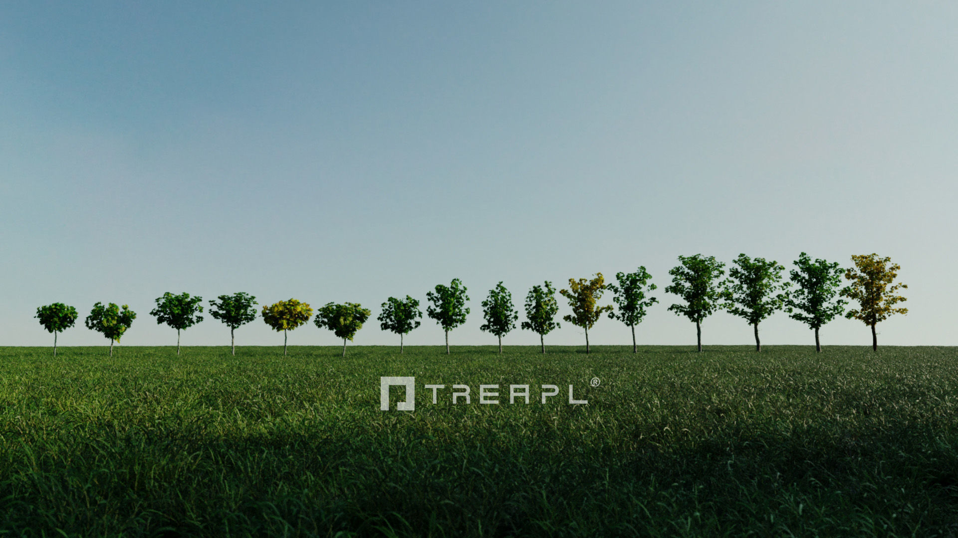 110X Hyper Trees by Treapl 3D model_17